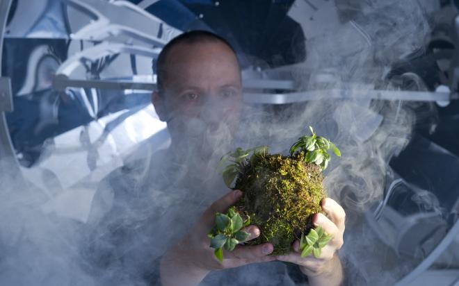 Ein Performer steht im Laborsetting und betrachtet eine Kugel aus Pflanzen im Nebel