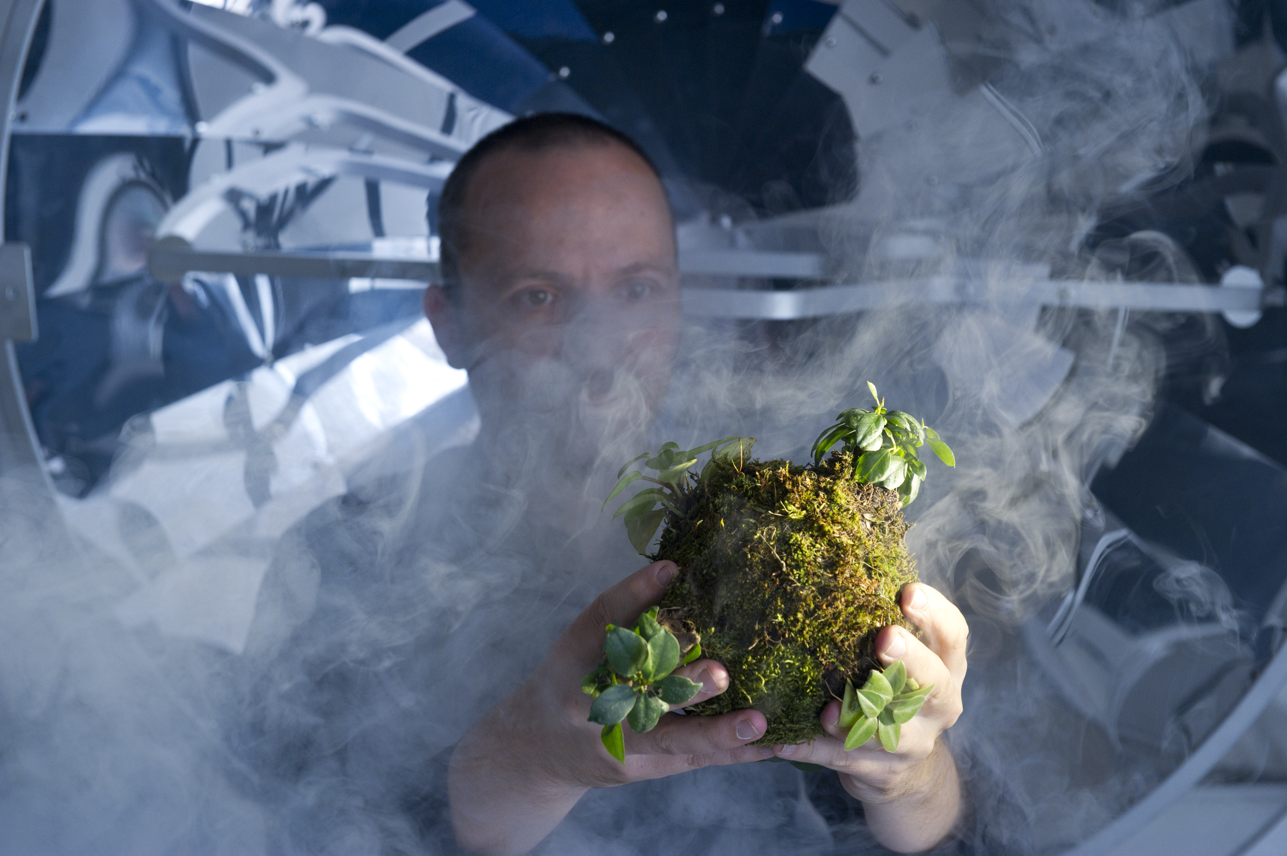 A performer stands in a laboratory setting and observes a ball of plants in the fog
